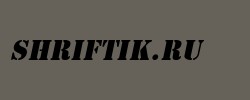 Cargo Italic 